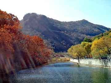 新澳天天开奖资料大全旅游团，空调清洗电话